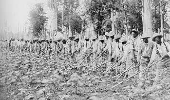 a group of people in a field