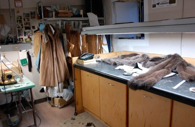 a cat lying on a desk
