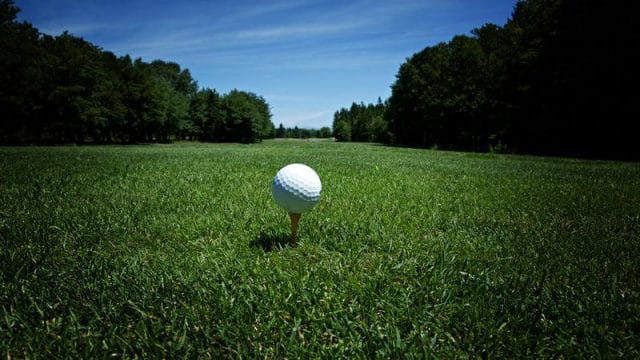 a white ball in a field of grass