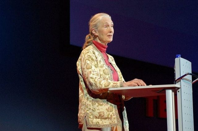 Jane Goodall standing at a podium