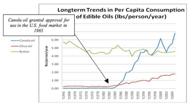 chart, line chart