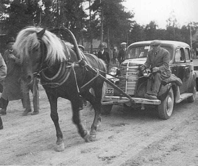 a horse pulling a car