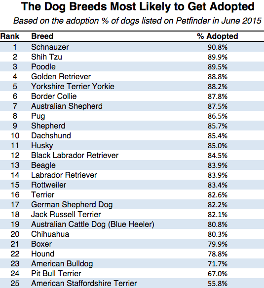 which dogs are least likely to be adopted