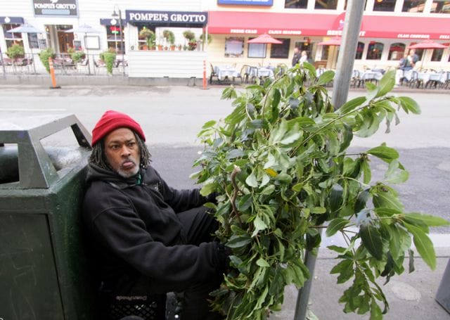 a person sitting on a bench next to a plant