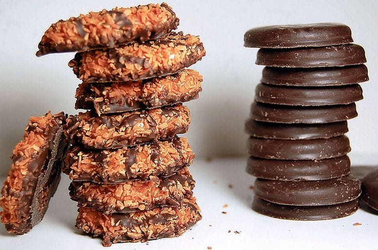 The Greatest Girl Scout Cookie Salesperson Ever - Priceonomics