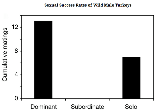 chart, bar chart