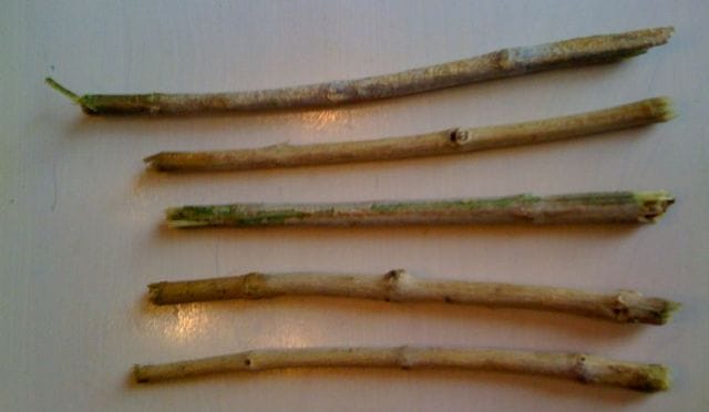 a group of wooden sticks