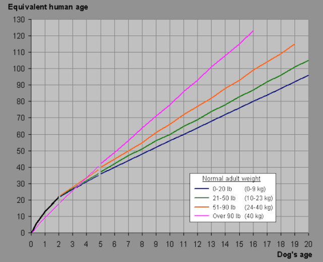 chart, line chart