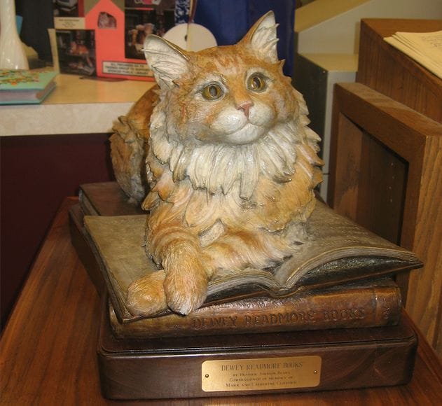 a cat sitting on a box