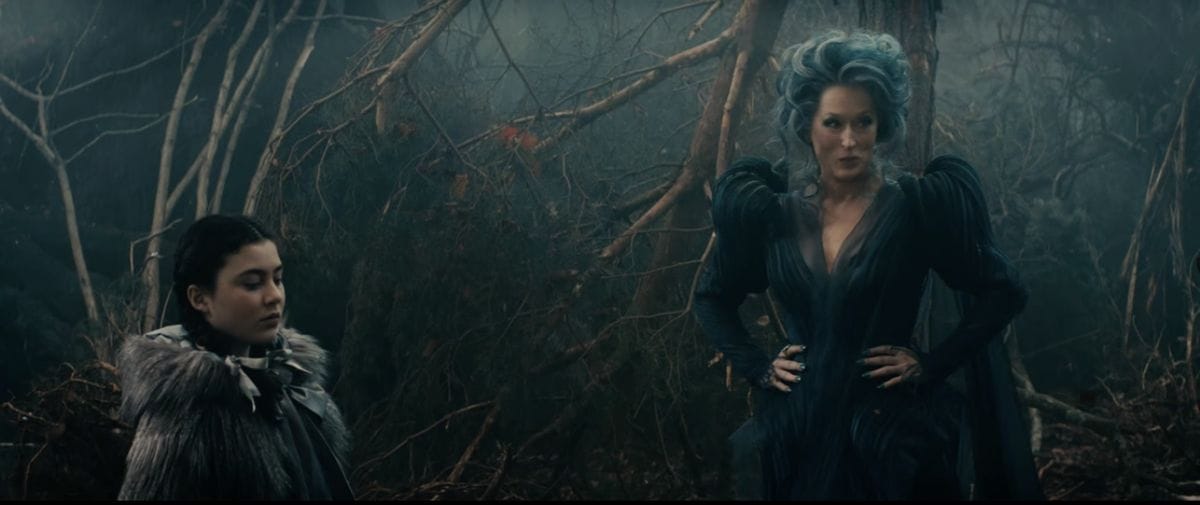 Meryl Streep and woman in a forest