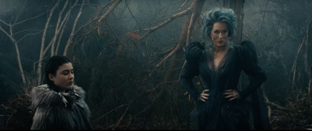 Meryl Streep and woman in a forest