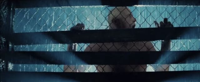 a group of people in a cage