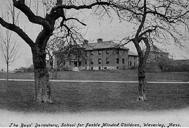 a person from a tree