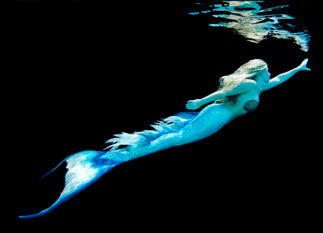 a couple of dolphins swimming in water