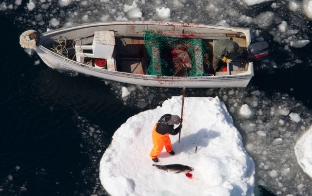 a group of people on a boat