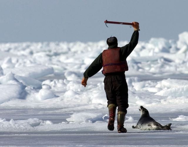 a man holding a fishing pole and a dog on a beach