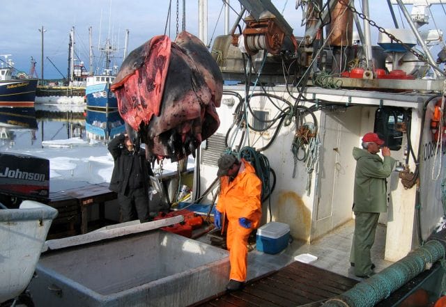 a group of men working on a boat