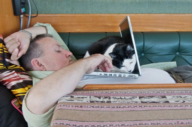 a man sleeping with a cat on his lap