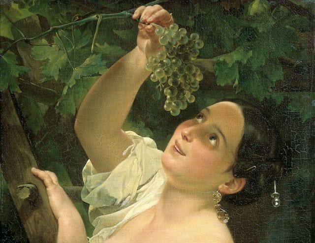 a person holding a bunch of grapes