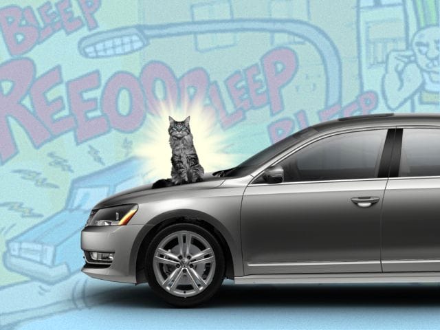 a cat sitting on the hood of a car