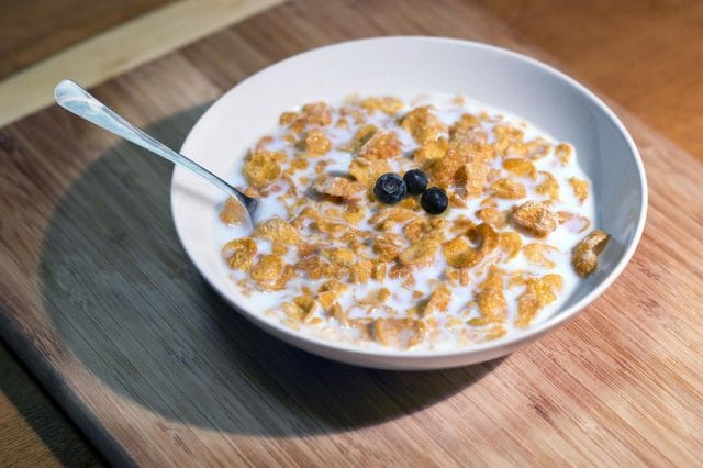 a bowl of cereal with milk and berries