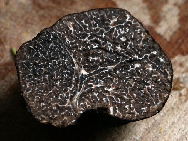 a black rock with a dark speckled surface