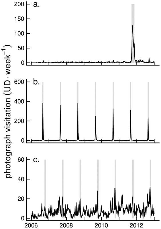 a graph with lines and graphs