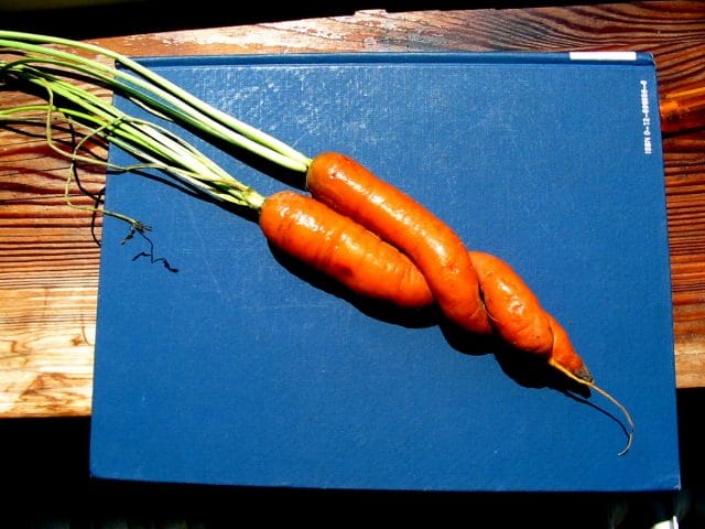 a carrot on a blue surface