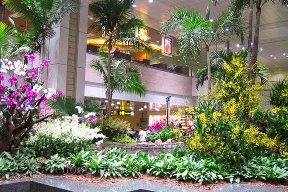 a building with plants and trees