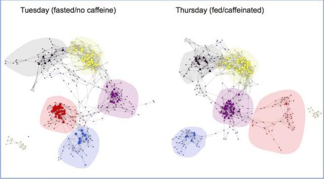 diagram, bubble chart