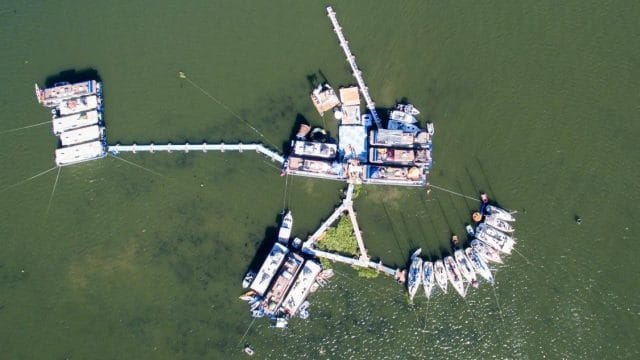 a group of boats in the water