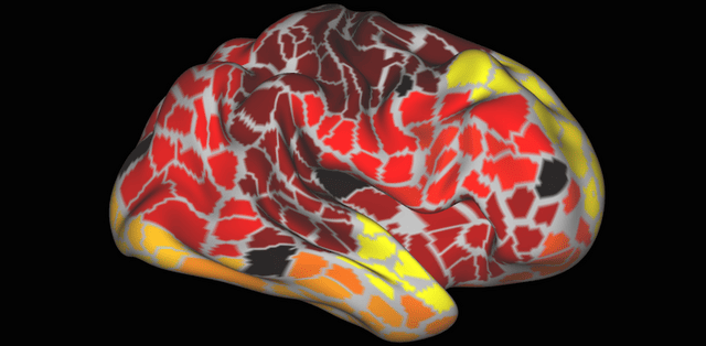a red and yellow snake