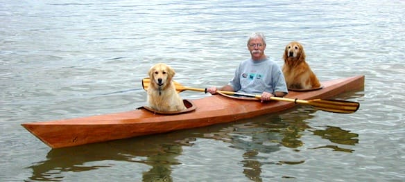 a person and two dogs in a canoe
