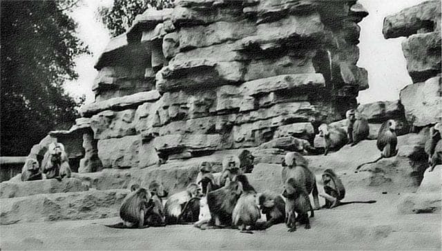 a group of people in a line