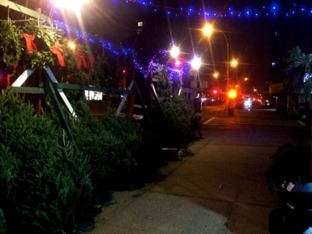 a street with a row of trees and a row of lights