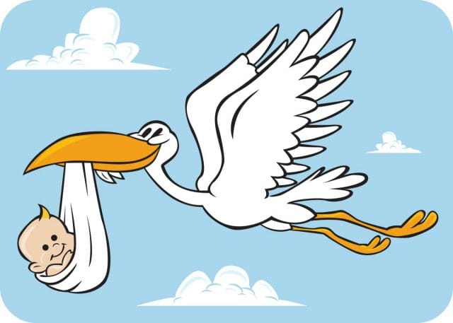 Do Storks Deliver Babies? - Priceonomics