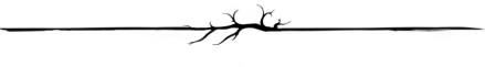 a black and white drawing of a tree