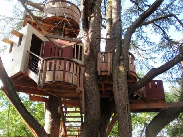 a tree house with a tree in the front