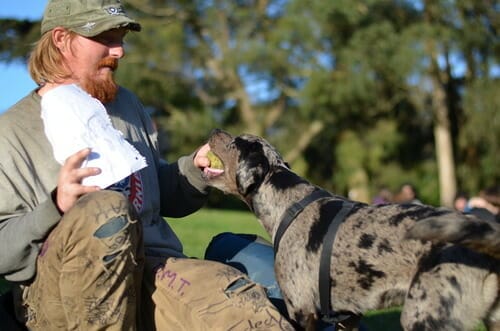 a man feeding a dog