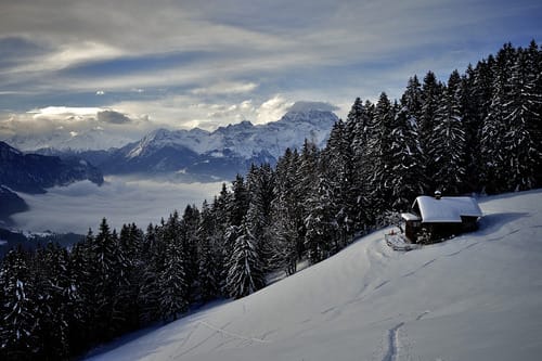 a snowy mountain side