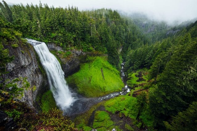 a waterfall in a forest