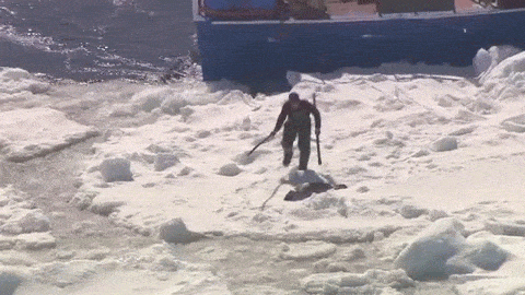a person walking on ice