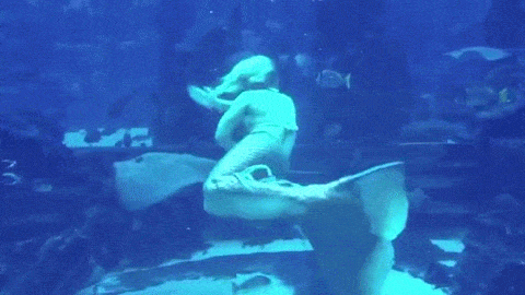 a person swimming underwater